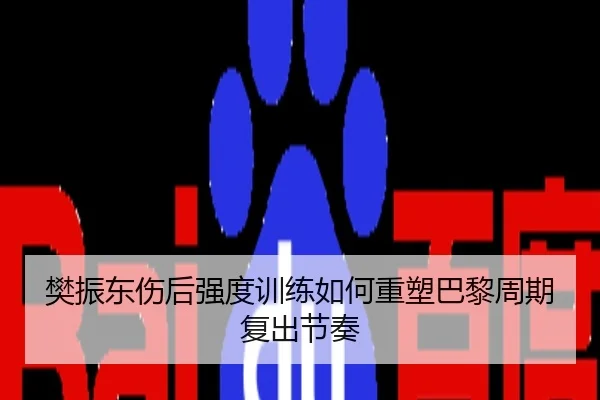 樊振东伤后强度训练如何重塑巴黎周期复出节奏
